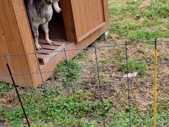 ͂Ȃ񂳂̗RȂւ̓eʐ^1