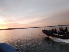 ݂䂤̏ucA[ւ̓eʐ^1