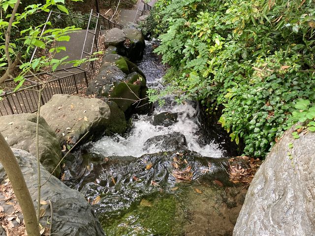 �ΐ쌧�����p��_�ΐ쌧�����p��