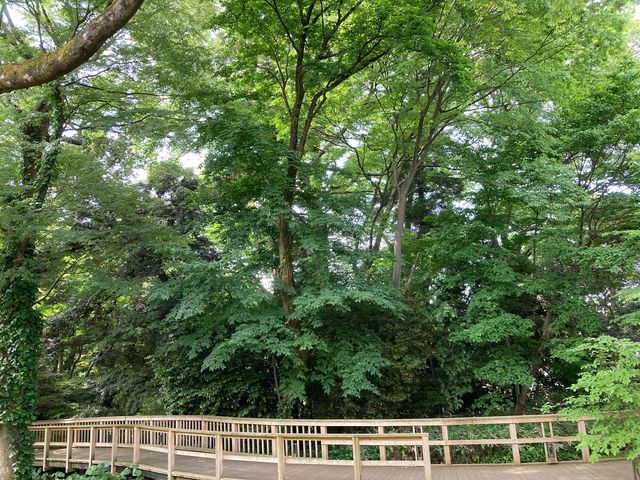 �ΐ쌧�����p��_�ΐ쌧�����p��