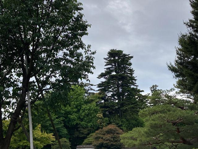 ���Z���̍�_���Z���̍�