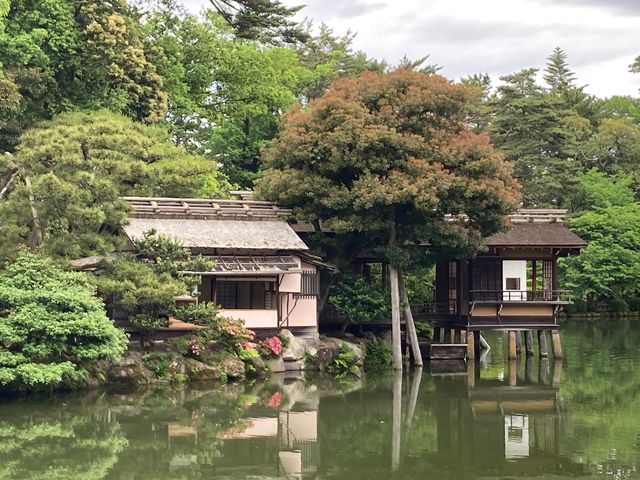 �����r(���Z��)_�����r(���Z���j