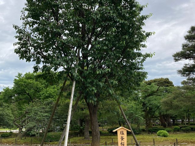 ���Z���̍�_���Z���̍�