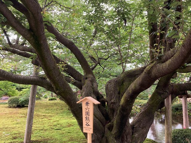 ���Z���̍�_���Z���̍�