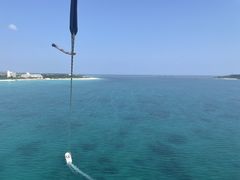 NOVÃpZ[O@u[zkւ̓eʐ^1