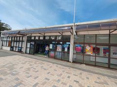 PES����̔������m�ΗV���D�ւ̓��e�ʐ^1