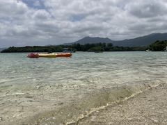 Ԃ̃V[X}CΊ_ւ̓eʐ^1