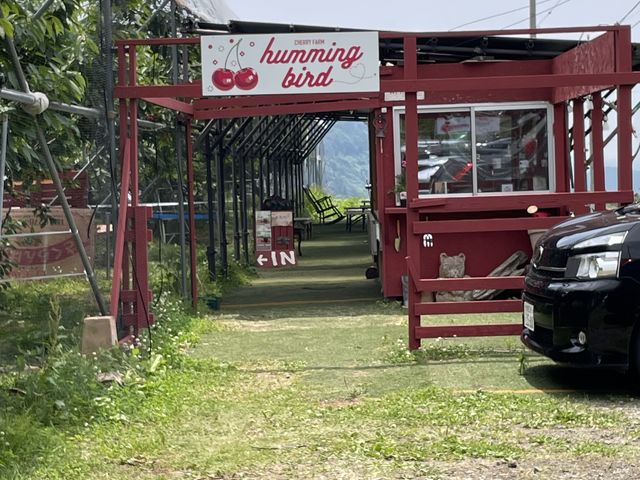 ���ԏ���������ł�_humming bird