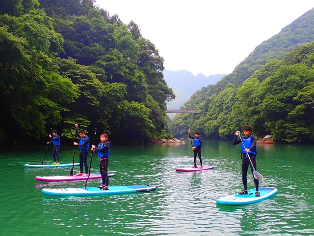 �p�h�����g���Đi�ފ��o���V�N�ŁA�o�����X���o��{���̂ɂ��ǂ��^���ɂȂ�܂����B_�O�����f�b�N�X�������x�[�X