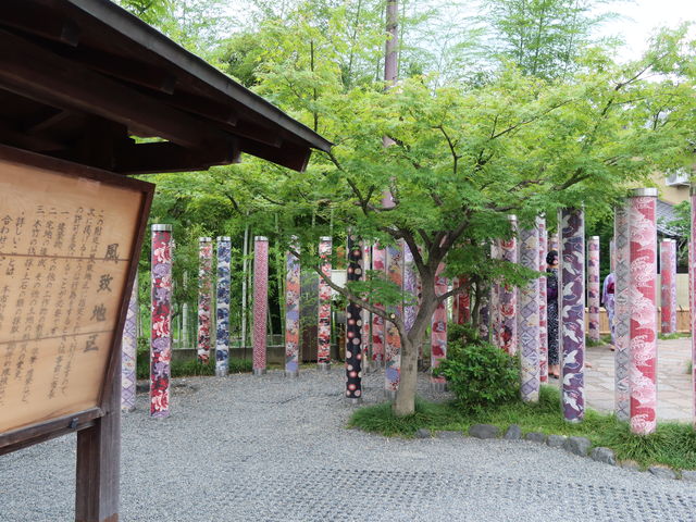 �����͂��̒��x_�L���m�t�H���X�g