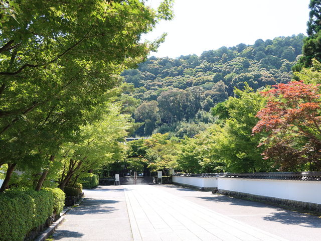 ���ʓ����_�i�ϓ��i�T�ю��j