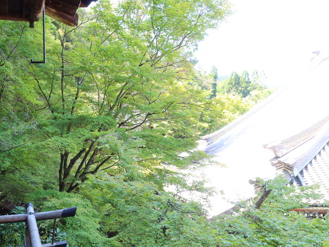 ���݂�������_�i�ϓ��i�T�ю��j