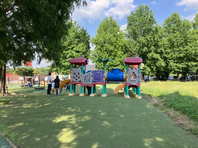 harusu̓̉w ̗悵݂̓eʐ^6