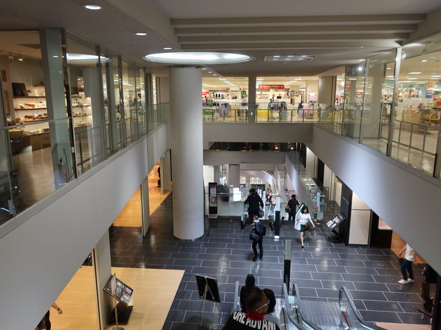 ���Ȃ苐��ȃG�X�J���[�^�[�ł���_�W�F�C�A�[�����s�ɐ��O