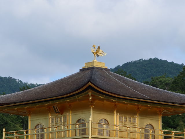 鹿苑寺（金閣寺）】アクセス・営業時間・料金情報 - じゃらんnet