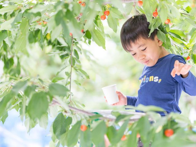 ���N����������̂������ڂ���点�Ă��������܂����B
�����̃T�[�r�X�������������ł��B�܂����N�I_�v�ۓc�_��