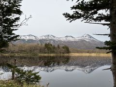 Ђ낳́ijmlC`[ItBXւ̓eʐ^1