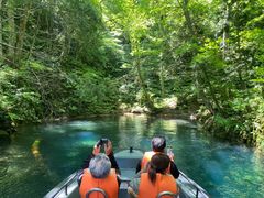 ubNybp[̃Oh@RIB Tripւ̓eʐ^1