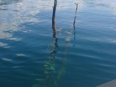 ̃Oh@RIB Tripւ̓eʐ^1