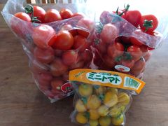 񂳂̖؍XÐkgւ̓eʐ^1