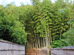 yosshy̒|т̓ւ̓eʐ^1