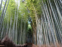 yosshy̒|т̓ւ̓eʐ^2