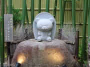 yosshy̗R@ܒ[̓eʐ^4