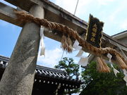 yosshy̑叫R_Ђ̓eʐ^1