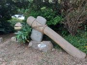 �Ձ[����̒�����Ղ̓��e�ʐ^1
