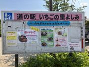 harusu̓̉w ̗悵݂̓eʐ^1