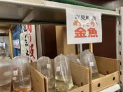 harusu̓̉w ̗悵݂̓eʐ^4