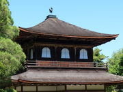 yosshy̋tiƎj̓eʐ^5