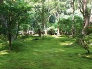 yosshy̋tiƎj̓eʐ^6