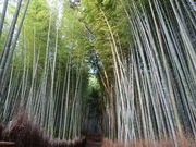 yosshy̒|т̓̓eʐ^2