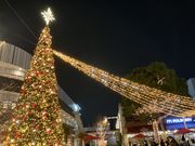 harusû₫Ђ΂̓eʐ^1