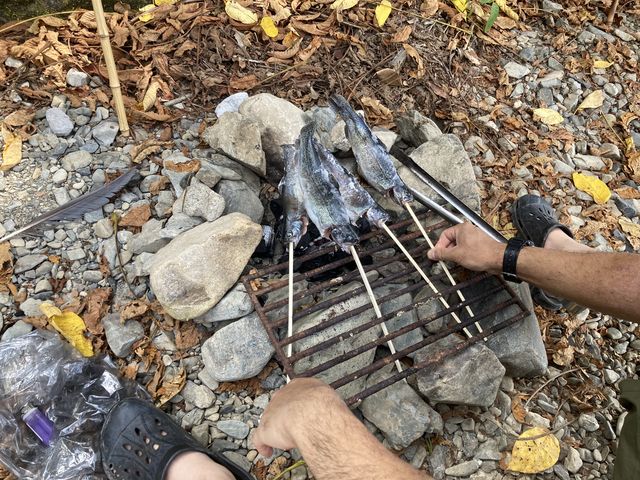 ����Ȋ����ŉ͌��ŏĂ��ĐH�ׂ܂���
���̌�͖Ԃ�u���Ă������Ă��܂����B_�k��쉶���܂��ޏ�