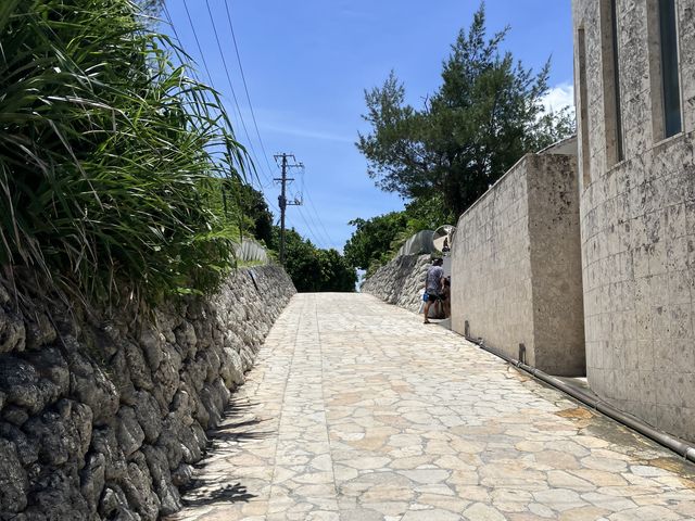 �g�C���ƃV�����[���ɖʂ�����_�I�[�V�����X�^�C��