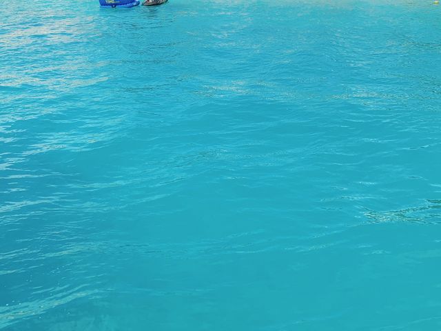 �D����B�e�̊C_�I�[�V�����X�^�C��