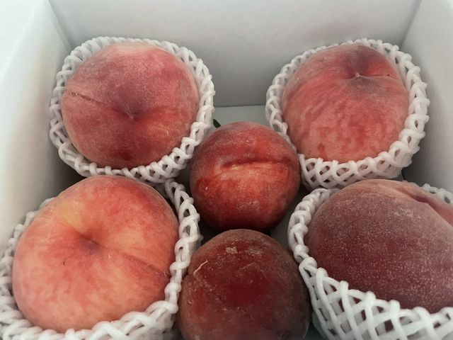 �������A��p��4�Ȃ̂�2�T�[�r�X?�������Ă܂����B
���b�L�[�I_�������̉���