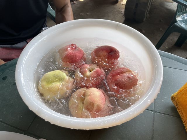 �̂肽�Ă��L���L���ɗ�₵�ĐH�ו���̃X�^�[�g�ł��I_�������̉���