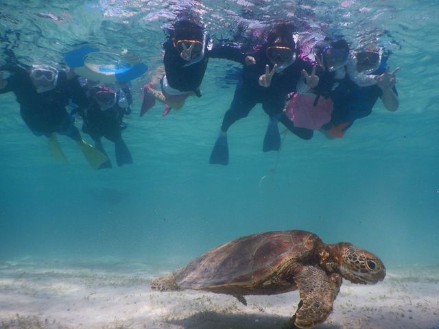 �C�T����_SEA ENJOY