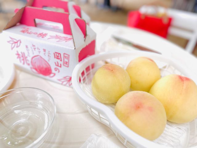 �����Ŏ�������͍��̔��ɓ����Ă��܂��B�E�͎��H�p�̓��ŕ�A�M�A�t�H�[�N�ƈꏏ�ɒ񋟂���܂��B_���Ύ����ό��_��