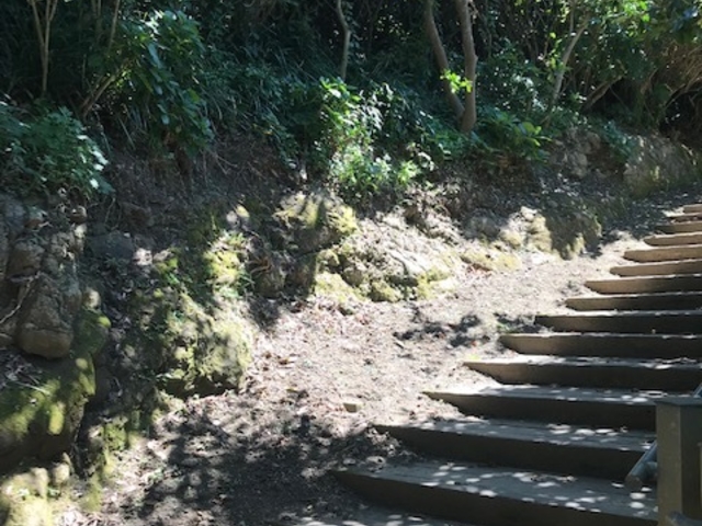 KiȂǂ̗֊s͏隬ۂ邩_Y