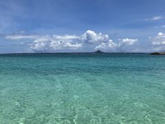 ܂񂳂̃I[VX^Cւ̓eʐ^1