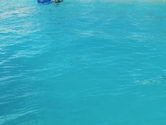 ܂񂳂̃I[VX^Cւ̓eʐ^3