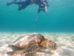 ݂nico {Óւ̓eʐ^1