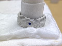 R̃A[gNCVo[H[Tigreւ̓eʐ^1