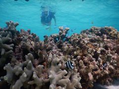 ܂񂳂SEA ENJOYւ̓eʐ^2