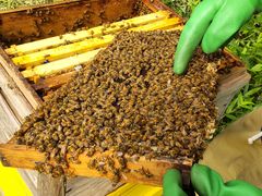 tjtjberich{I@OgRւ̓eʐ^1