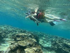 NMarineSportsSUIRENւ̓eʐ^1